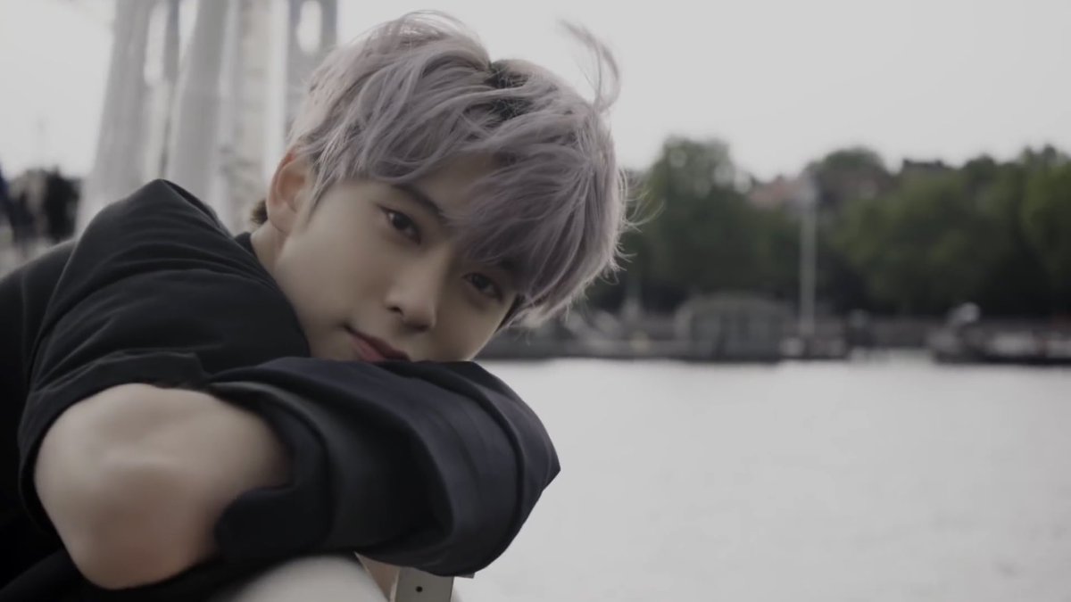 остров джефф мистер бист. Like my better. марго робби волк с уолт стоит. Like my better. ответ на вопрос what does.