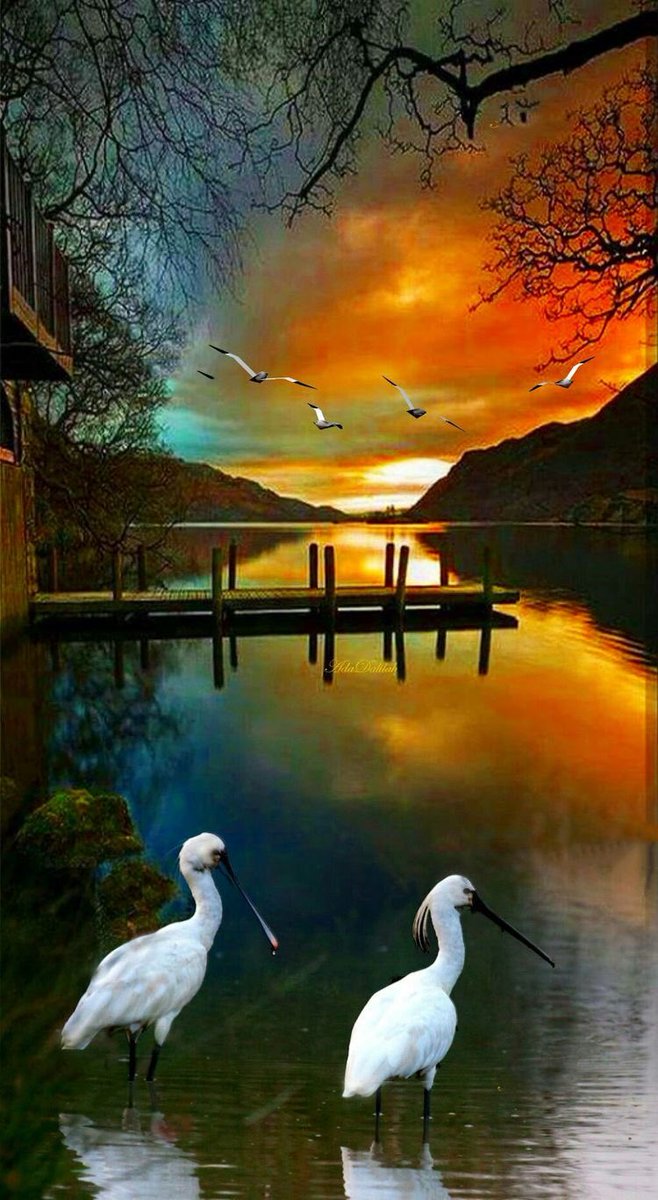 Lilian2020 (@lilian8090) on Twitter photo 