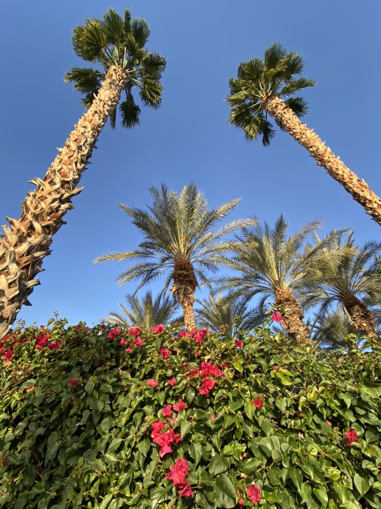 lgallagherford's tweet photo. At the ACNL (California Nurse Leaders) annual meeting. Launching our EBP/Nurse Leader Study! Great partnership...hoping for great participation! #EBP #Fuld https://t.co/PIz3PtCzE6