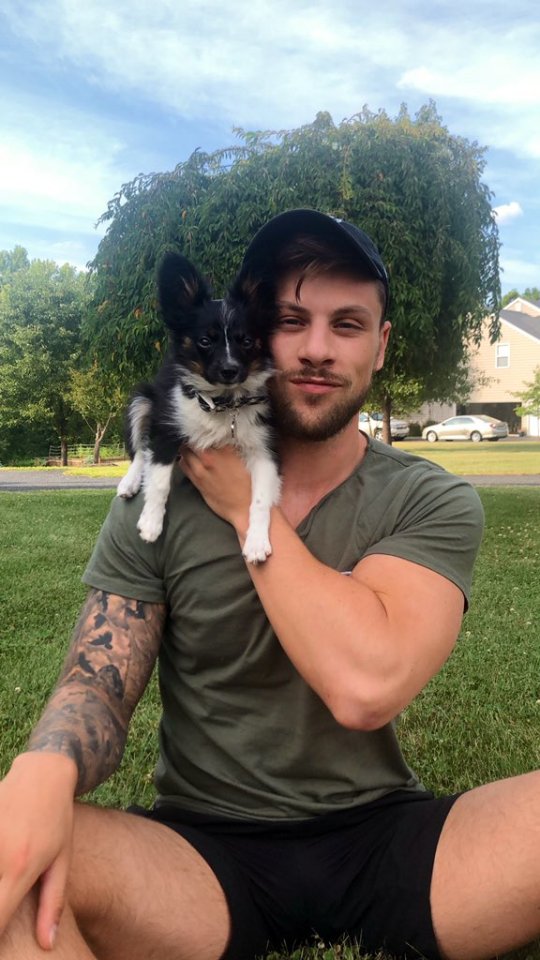 BasicBellamy's tweet image. pup.