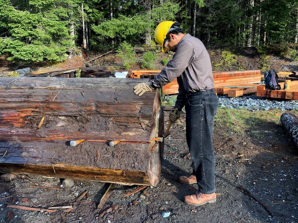 TheCorpsNetwork's tweet image. #21CSC Champion Jim Ziolkowski started at @MountRainierNPS as an intern with @the_sca. That summer internship turned into a career. We are grateful that Jim continues to work with Corps like SCA &amp;amp; @NW_YouthCorps through his role at Mount Rainier. #CorpsWork