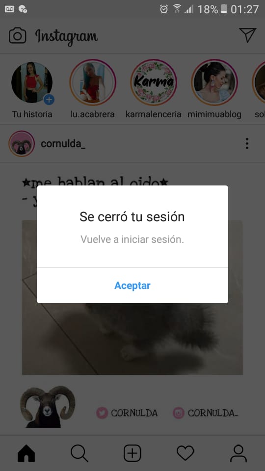 Macarena tweet media