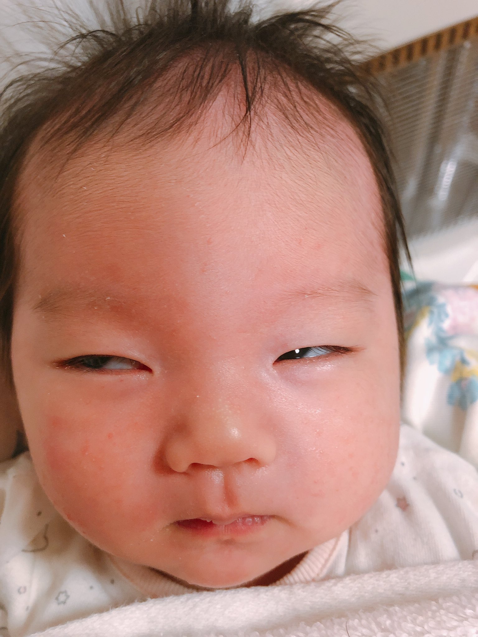 こたつ 40w 5m 抱っこで寝てる時 唐突になる半目 赤ちゃん共通なのでしょうか 即逮捕レベルーーー 赤ちゃんのいる生活 T Co Jjd3fgtcn9 Twitter