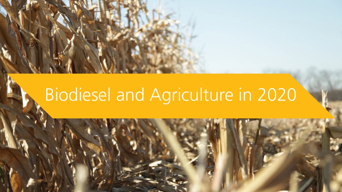 REGbiofuels's tweet image. Ag technology is progressing towards the future and so is biodiesel. Watch how #biodiesel continues to add value back to agriculture, help farm equipment run smoother and lower environmental impact: youtu.be/w-SUwlezV9Y