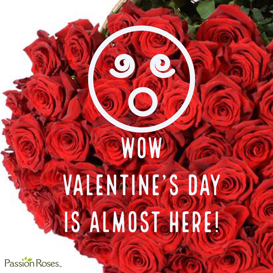 Roses are a great accessory to jewelry, dinner, a spa splurge, movies. Give roses as a companion with any other gift! Roses go GREAT with everything! 
.
.
.
.

#giveroses #valentinesdayroses #valentinesdayflowers
#rose #rosequote #passionroses #passiongrowers