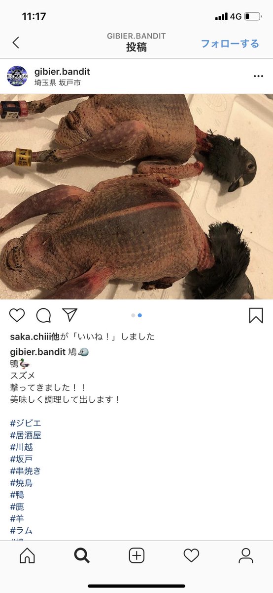 埼玉県のジビエ料理店 レース鳩を獲って調理 snsに投稿後して炎上 Togetter 埼玉県のジビエ料理店 レース鳩を獲って調理 snsに投稿後して炎上 Togetter