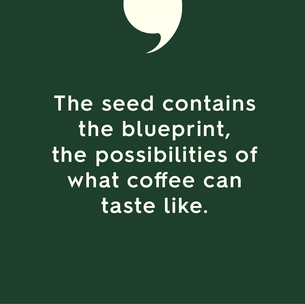 SpecialtyCoffee's tweet photo. Last year at #RecoSymposium Boston, speaker Hanna Neuschwander unveiled a major global trial. Can we crack the coffee flavor code and uncover the relationship between coffee genetics and the environment?
Listen to ep. 54 of SCA’s podcast to learn more: https://t.co/apKdWkCaJf https://t.co/TZP8bg9moP