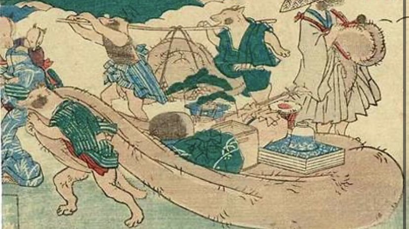 Ils sont souvent représentés avec un chapeau de paille, une gourde de saké et un ventre large ainsi que des testiciules démesurés.On les retrouve dans le personnage de Chopper, souvent confondu avec un Tanuki.
