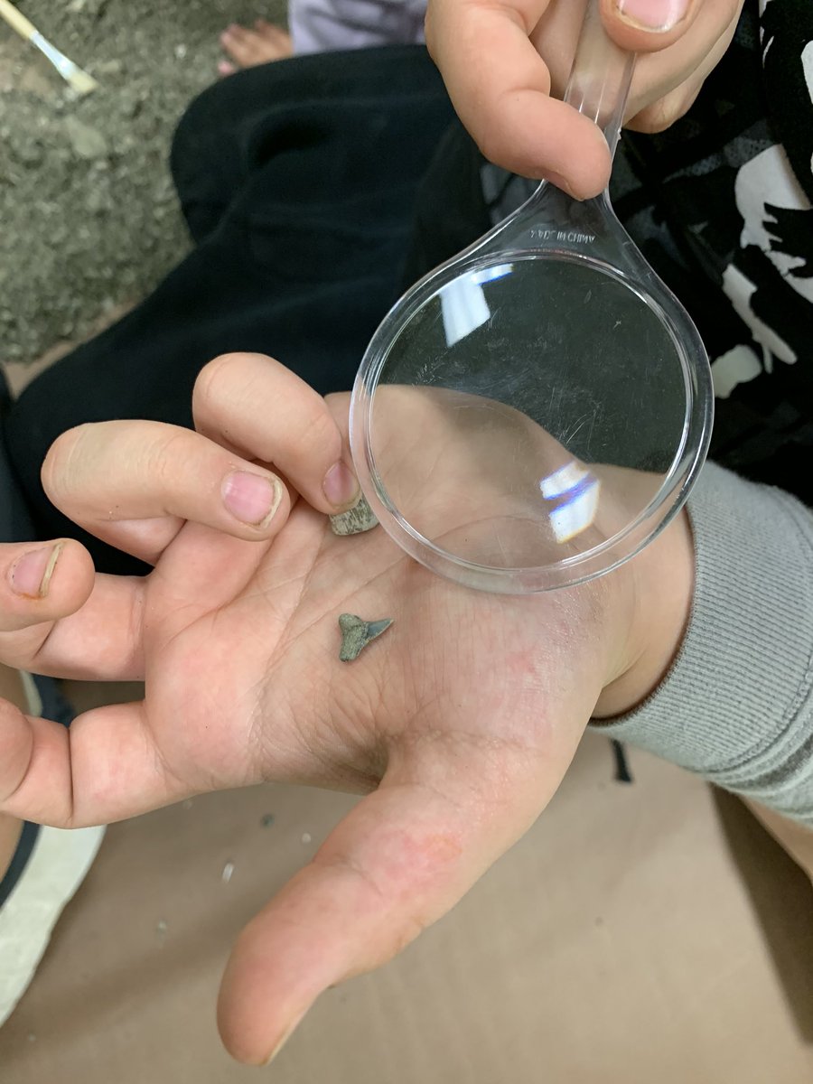 These paleontologists found quite a few fossils all thanks to <a href="/AuroraFossilMus/">Aurora Fossil Museum</a>! So proud of all their hard work during quarter 2! 🦖📖⚒<a href="/BryanRoadES/">Bryan Road Elementary School</a> <a href="/ELeducation/">EL Education</a>