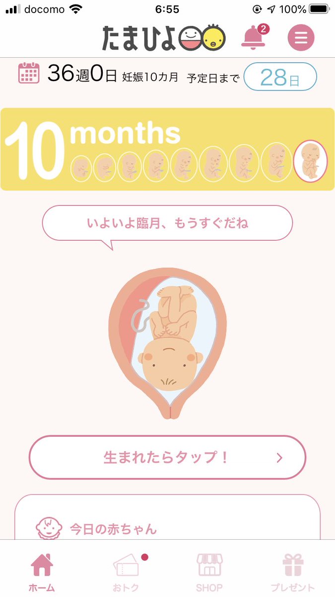 臨月突入 臨月突入