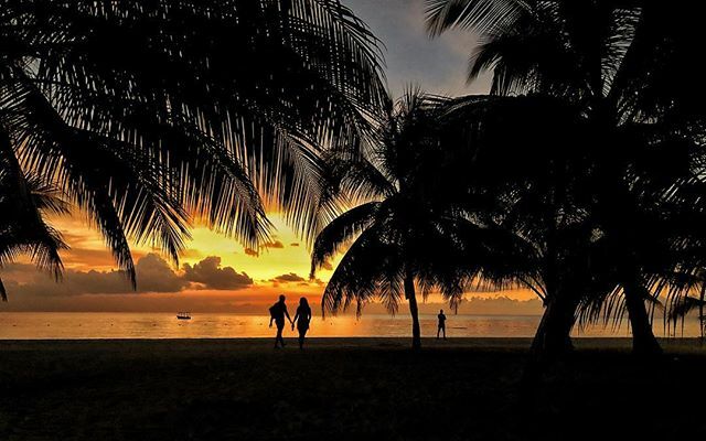 The golden hour... #jamaica #sunsets #purebliss #caribbean #ahyasonice #jamaicaexperiences ift.tt/2UFk8eV