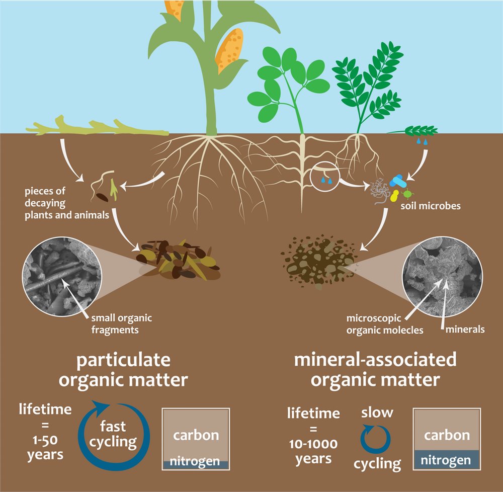 NREL EcoPress (@nrel_ecopress) on Twitter photo New blog post up by @JM_Lavallee and Dr. Francesca Cotrufo reposted from <a href="/ConversationEDU/">The Conversation - Australia + New Zealand</a> - soil C is like money in the bank! Read to find out how bit.ly/pom-maom New blog post up by @JM_Lavallee and Dr. Francesca Cotrufo reposted from <a href="/ConversationEDU/">The Conversation - Australia + New Zealand</a> - soil C is like money in the bank! Read to find out how bit.ly/pom-maom