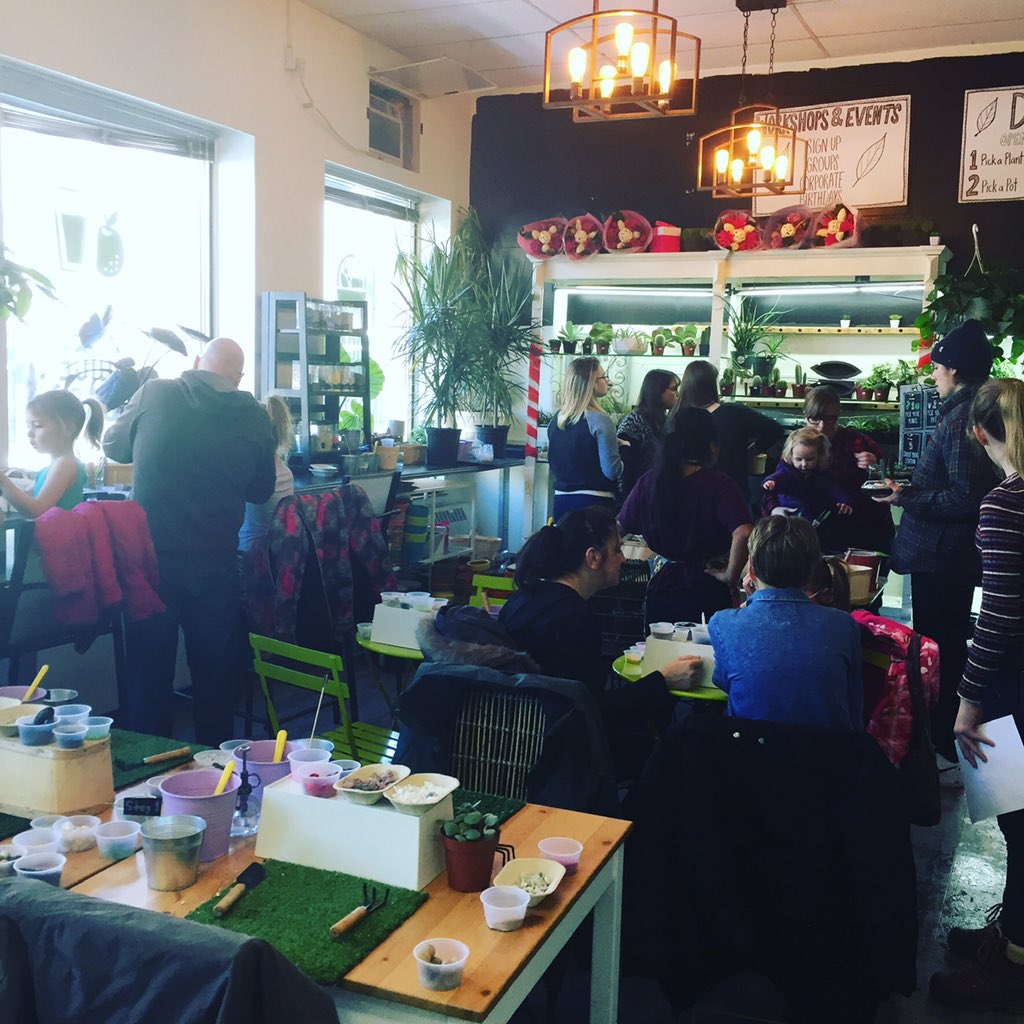 Tiny Greens Plant Shop (@tinygreens) on Twitter photo Open for our 3rd Annual Family Day Event! Monday 11-6. Reserve your planting table and drop ins welcome! Smoothie,juice and coffee bar open! @downtownPtbo <a href="/kawarthaNOW/">kawarthaNOW.com</a> #ptbo <a href="/ptbochamber/">PKChamber</a> <a href="/123DigitalPower/">123DigitalPower by Sofie Andreou, M.Eng</a> Open for our 3rd Annual Family Day Event! Monday 11-6. Reserve your planting table and drop ins welcome! Smoothie,juice and coffee bar open! @downtownPtbo <a href="/kawarthaNOW/">kawarthaNOW.com</a> #ptbo <a href="/ptbochamber/">PKChamber</a> <a href="/123DigitalPower/">123DigitalPower by Sofie Andreou, M.Eng</a>