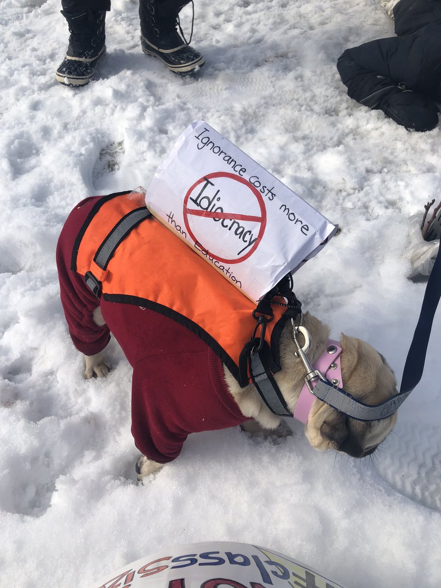 CharmaneDenise's tweet photo. This afternoon, in Brampton @ETFOPeel members are on #ETFOstrike in defence of their students &amp; public education #ETFOEducators #ETFOStrong #CutsHurtKids #onted #ontlab #ETFO @thehoffmobile @fordnation @Sflecce @etfopresident https://t.co/VwXVk5e5mh