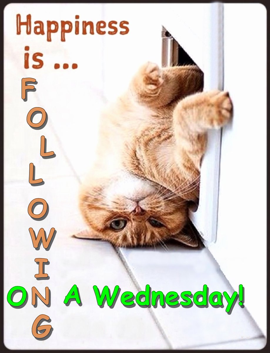 HillHamilton's tweet photo. #WickedWednesday #amwriting #WW
@paul_cude @SimmillKj @chadharpauthor @DaFununBean @Tamavista @Pal_Jeb @EdmundCollier6 @MovementWhere @JonathanGrimm1 @runthelightshow @LallyABrown @IdyllwildEliot @SigalHaber https://t.co/ac4UdQVHJF