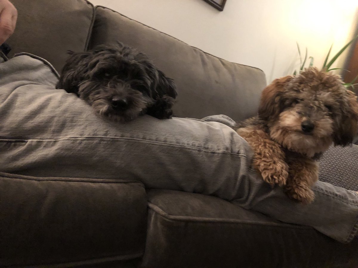 fieldsjj's tweet image. #BestAtHomeContest