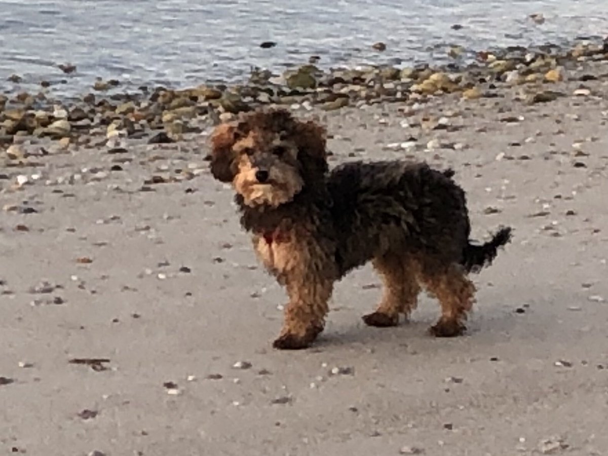 fieldsjj's tweet image. #BestAtHomeContest