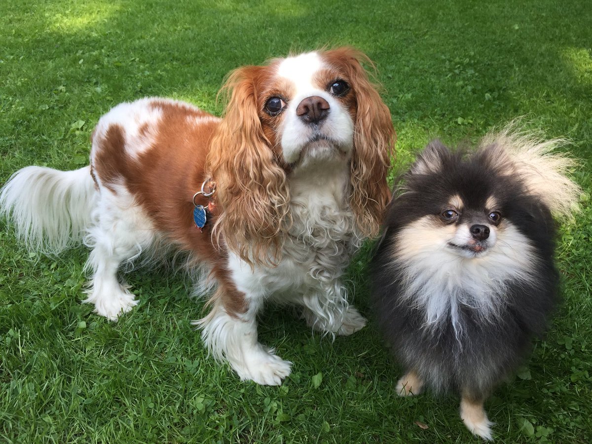 fieldsjj's tweet image. #BestAtHomeContest