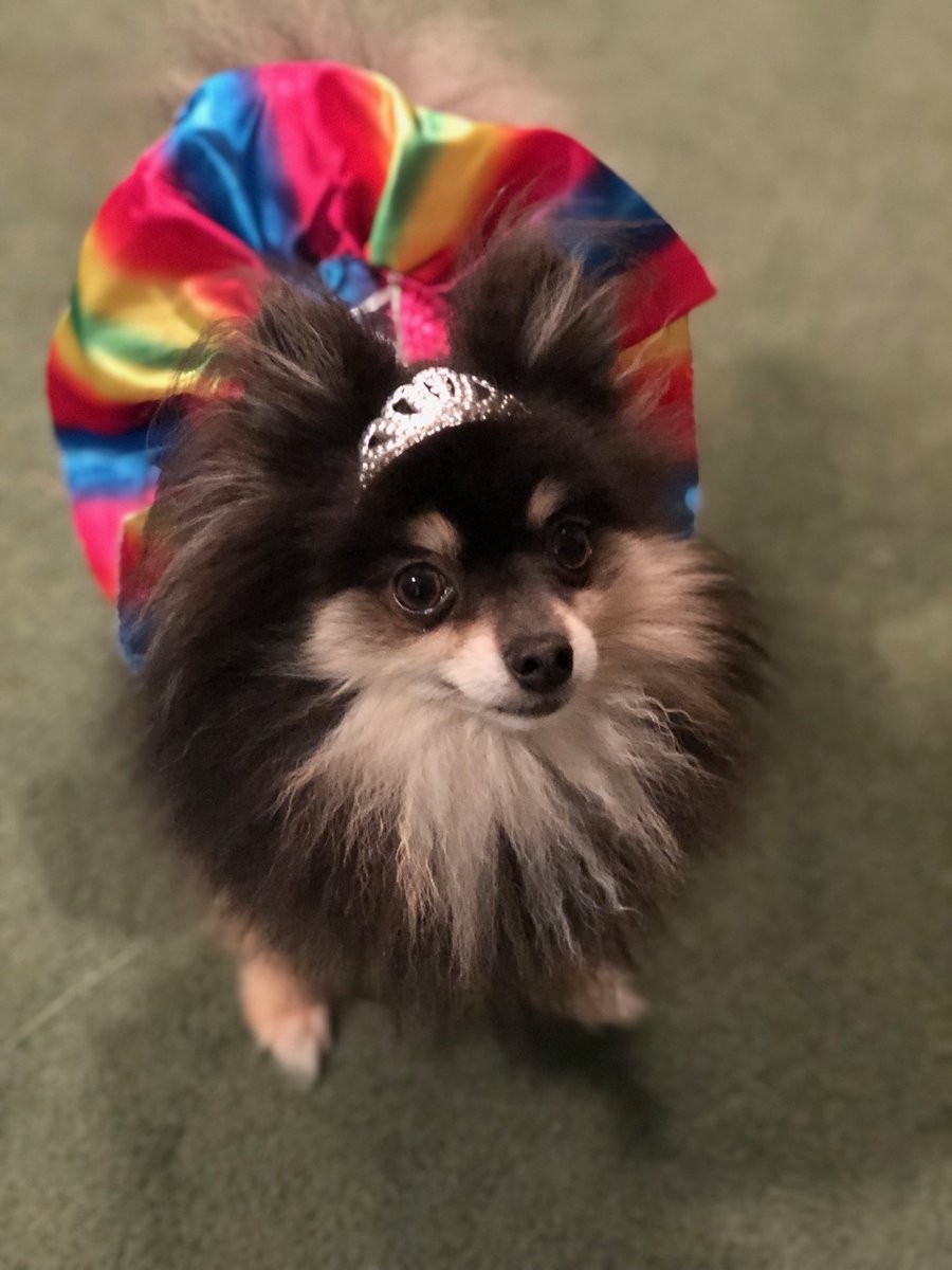 fieldsjj's tweet image. #BestAtHomeContest