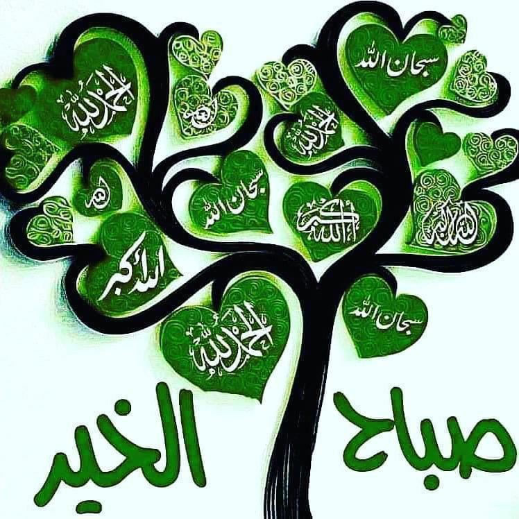 Alshmery (@naeem08171504) on Twitter photo 