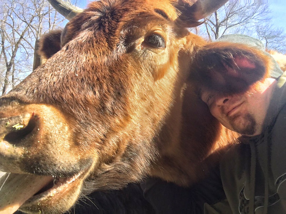 A little hugging just in time for valentines ❤️

#Pineywoodscattle #Valentine2020 #farming