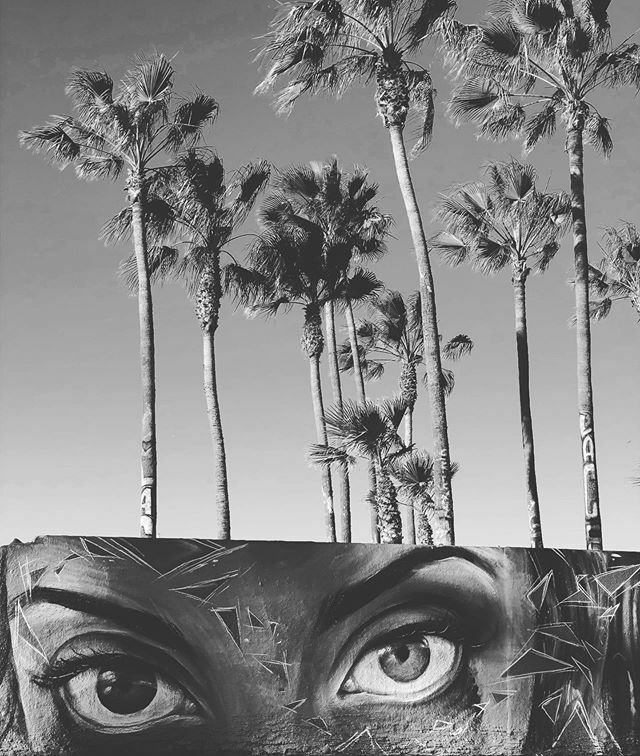 terrigsimon's tweet photo. Look.
-
#iseeyou #looking #eyes #venicebeach #graffiti #morning #goodvibesonly https://t.co/0uWMi2FQpg https://t.co/HJmRofHtRV