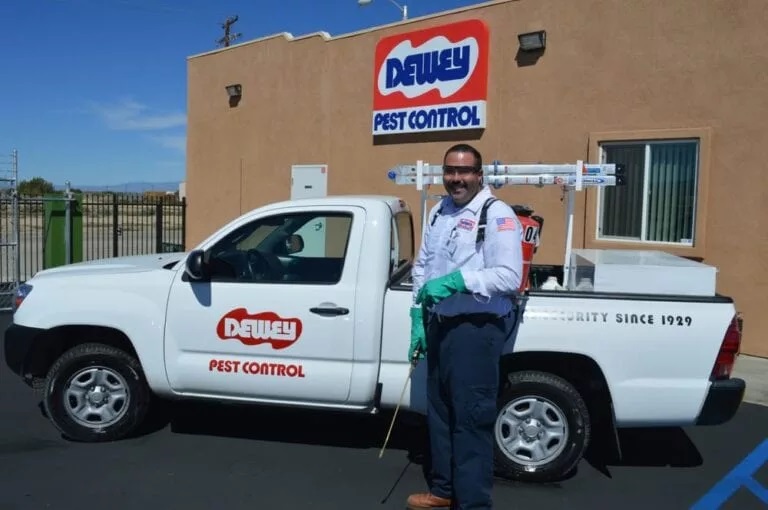 DeweyPestCtrl's tweet image. Join our Dewey Team! Check out available positions now! goo.gl/HTAuZp #helpwanted #jointourteam #deweypest #pestcontrol #jobopenings #applynowhttps://goo.gl/HTAuZp