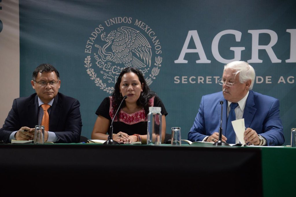 Mary_Luisa_AG's tweet photo. Junto a @vmva1950, titular de @Agricultura_mex, y el subsecretario de @SE_mx, Ernesto Acevedo, nos reunimos con sector cafetalero para fortalecer esta importante actividad productiva. 

Impulsar nuestro café es generar #Bienestar para miles de familias campesinas e indígenas. https://t.co/CloUX7hLK4