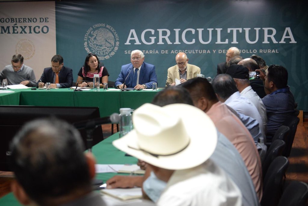 Mary_Luisa_AG's tweet photo. Junto a @vmva1950, titular de @Agricultura_mex, y el subsecretario de @SE_mx, Ernesto Acevedo, nos reunimos con sector cafetalero para fortalecer esta importante actividad productiva. 

Impulsar nuestro café es generar #Bienestar para miles de familias campesinas e indígenas. https://t.co/CloUX7hLK4