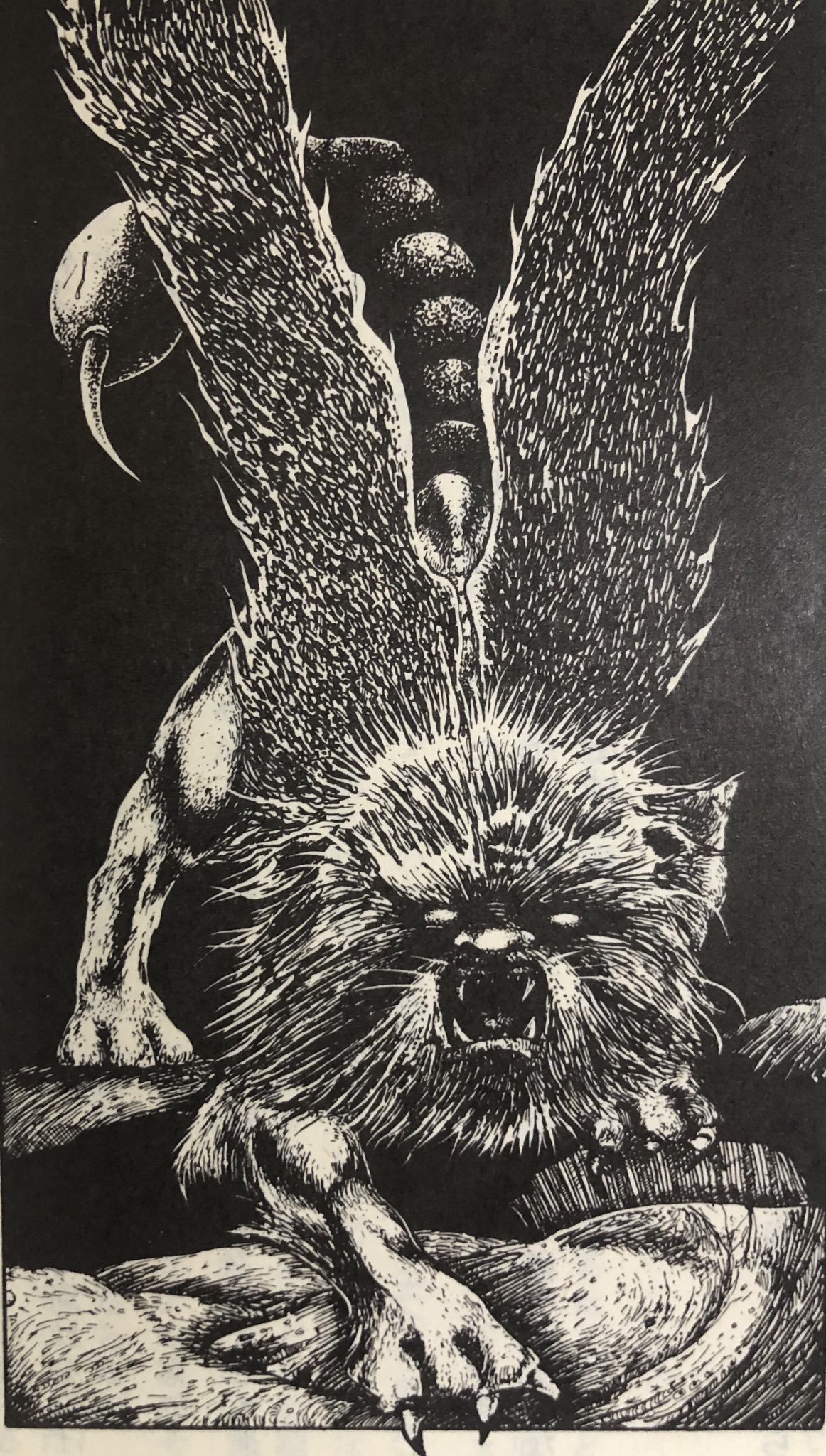 ニフ 魔法使いの丘 シャムタンティの丘を越えて 美しい花が咲く丘陵を ちいさな妖精といっしょに 魔法使いからお茶で もてなされながら歩いていくファンタジー クライマックスは囚われの娘を助けるため 洞窟の怪物に自ら挑む 素人は騙