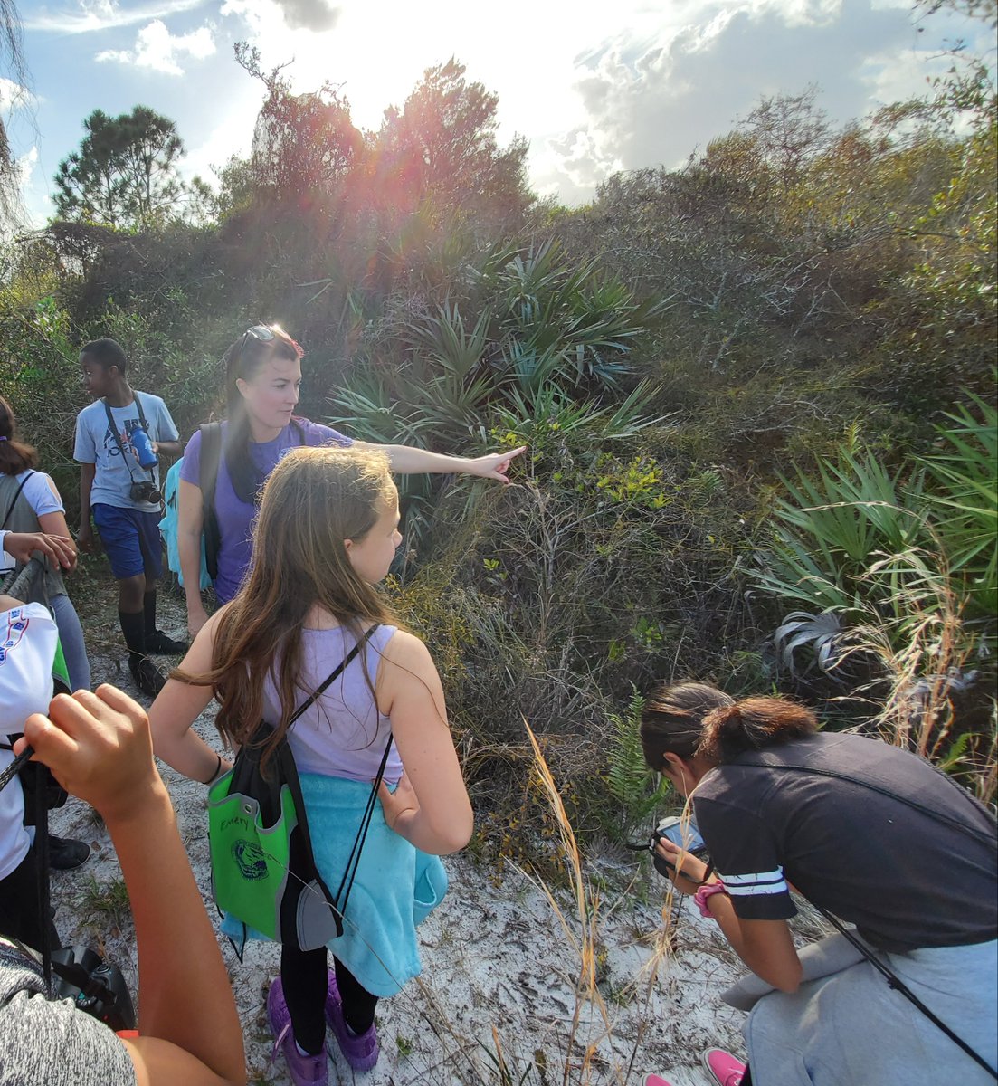 Jinx25kcrd's tweet photo. We had a great time looking at the scrub jay habitat today on our Audubon adventure. Thanks Citrus Stingers for letting me tag along and showing me the ropes for when I fill in next week. 
@CESbuzzing https://t.co/9VaoLloz9I