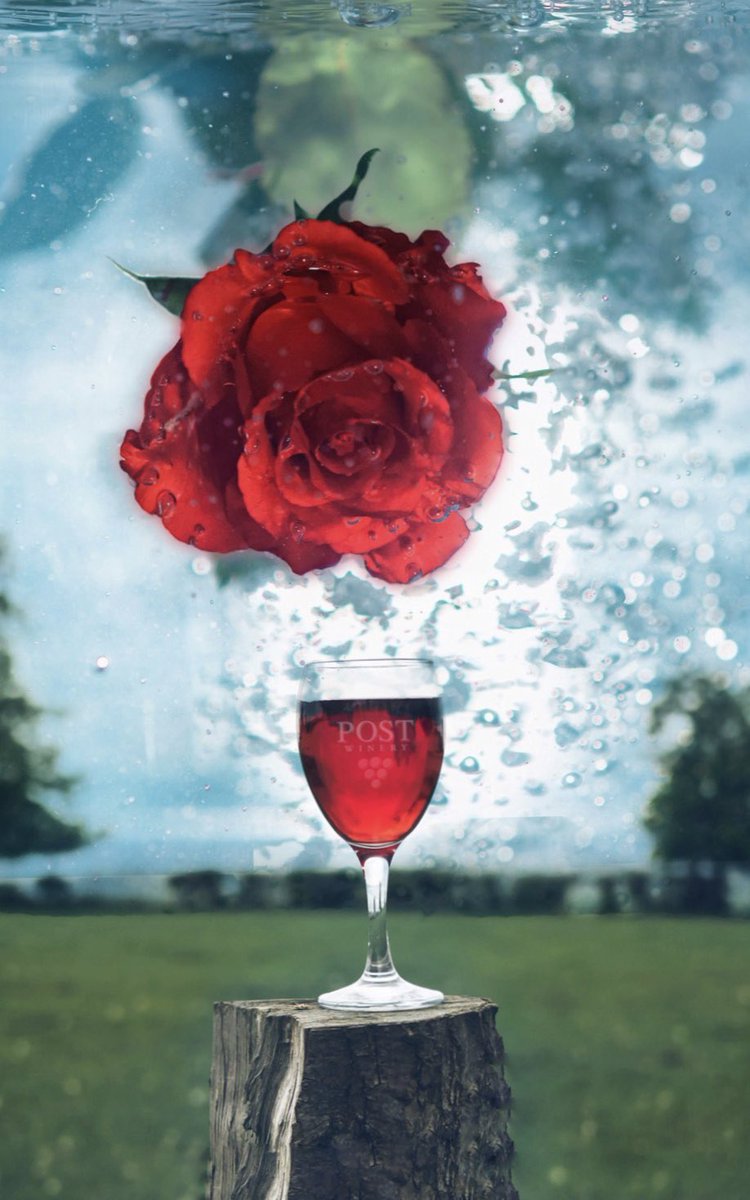 postwinery's tweet photo. #valentines_day #redwine & #roses ❤️🍷🌹#toastwithpost https://t.co/TFMGTiVZfQ