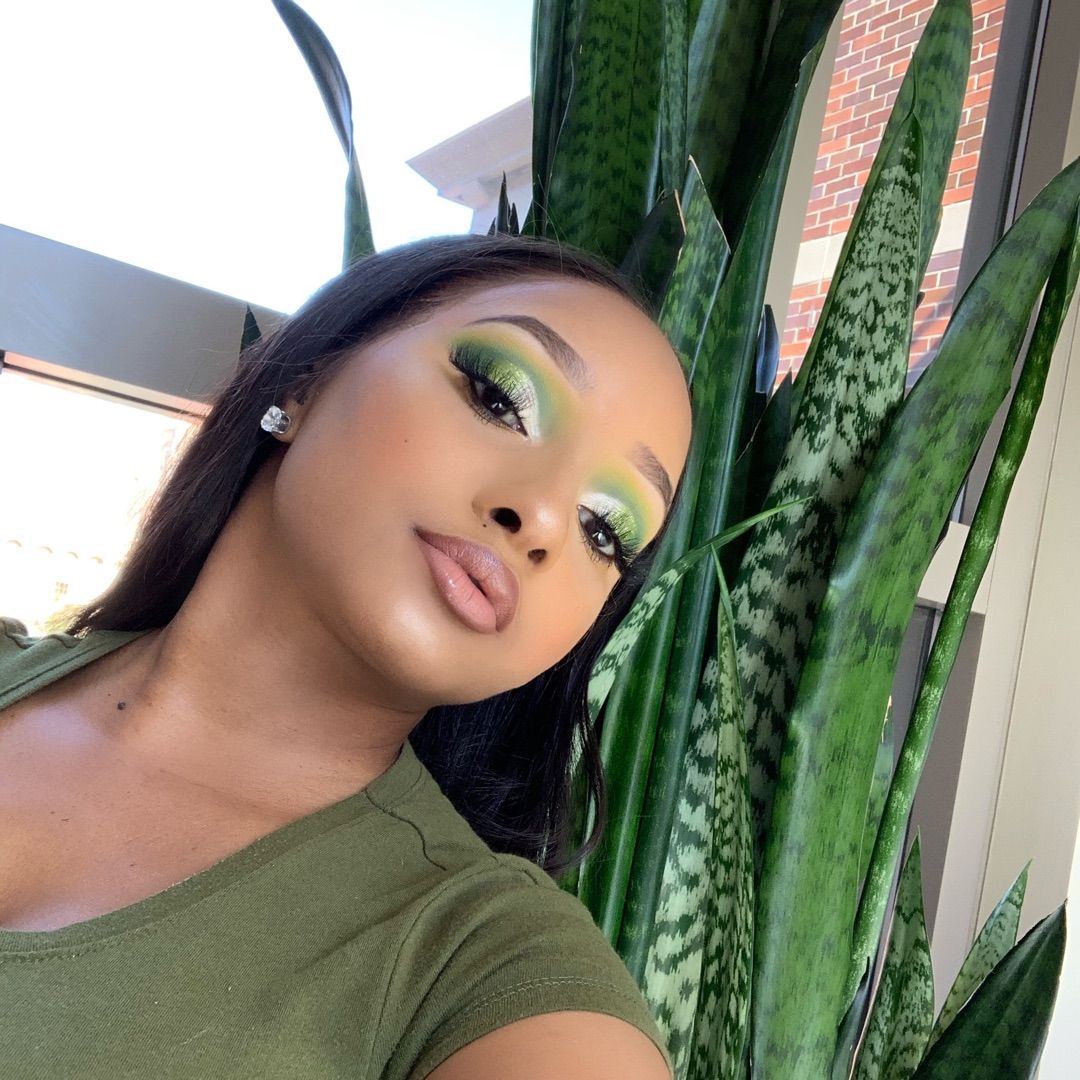 JustChrishay's tweet photo. 🌿🌱🍃 #colourpop #lagirlcosmetics #coastalscents #bhcosmetics #affordablemakeuplook https://t.co/FCNqCxbehf https://t.co/036KemOBg2