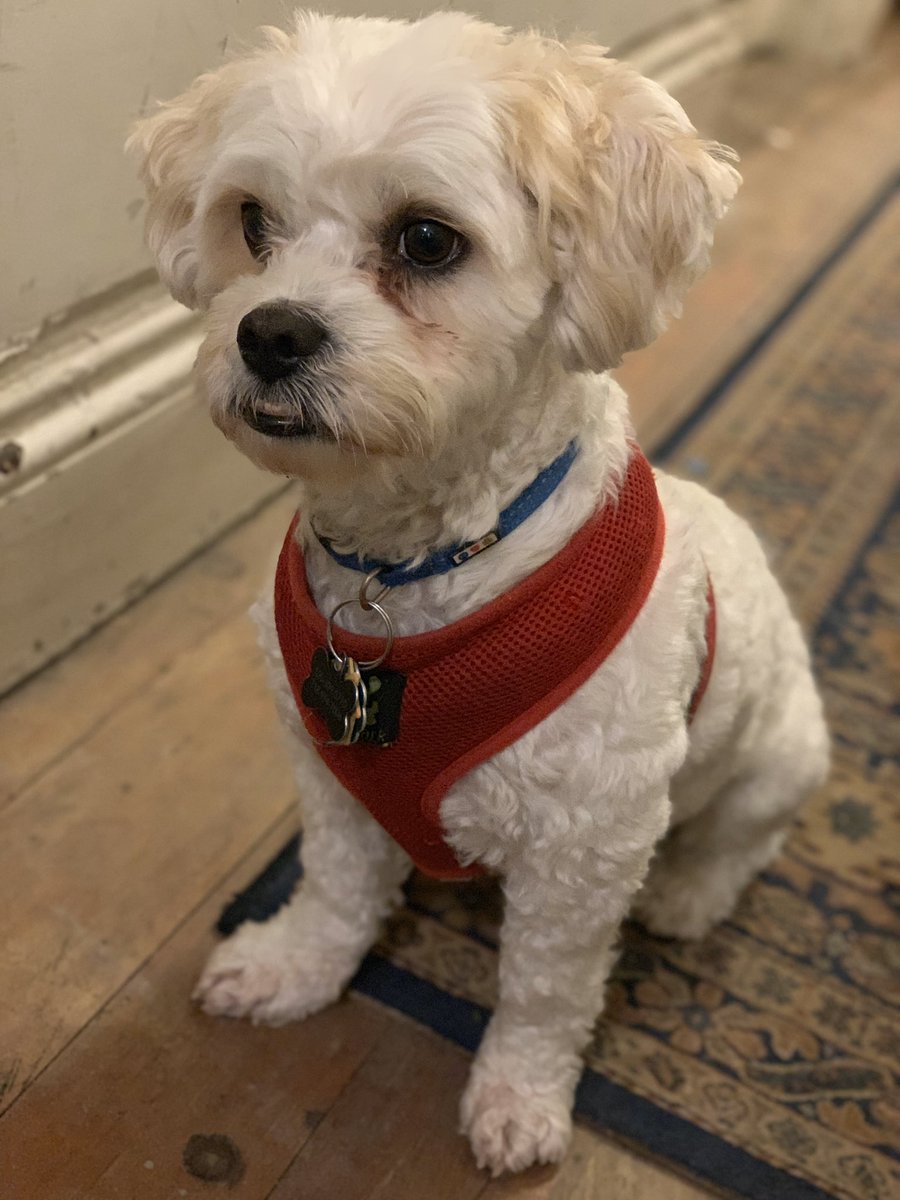 #BestAtHomeContest