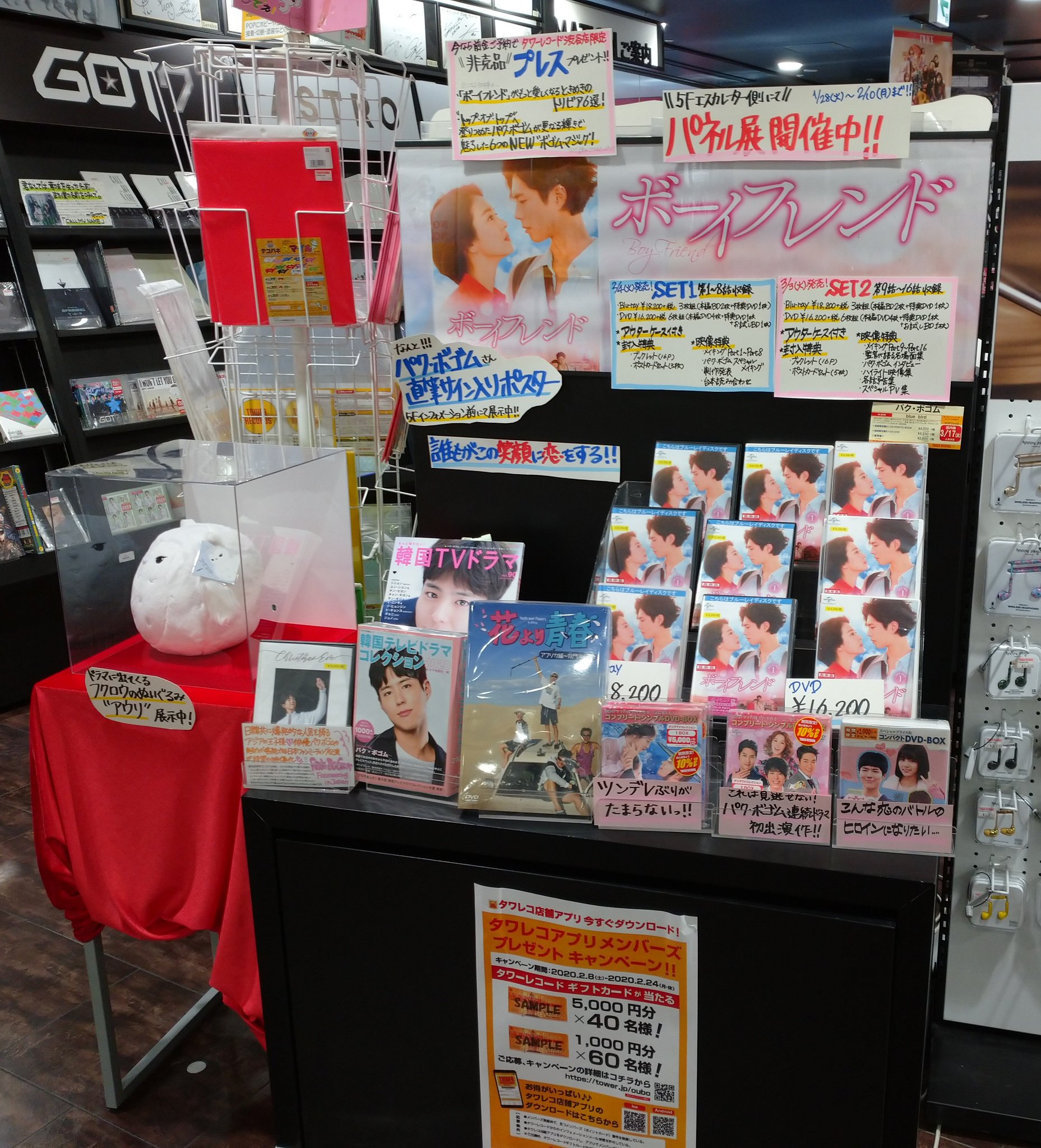 ボーイフレンド DVD SET1ーSET2 （ファン待望のパク・ボゴム最新
