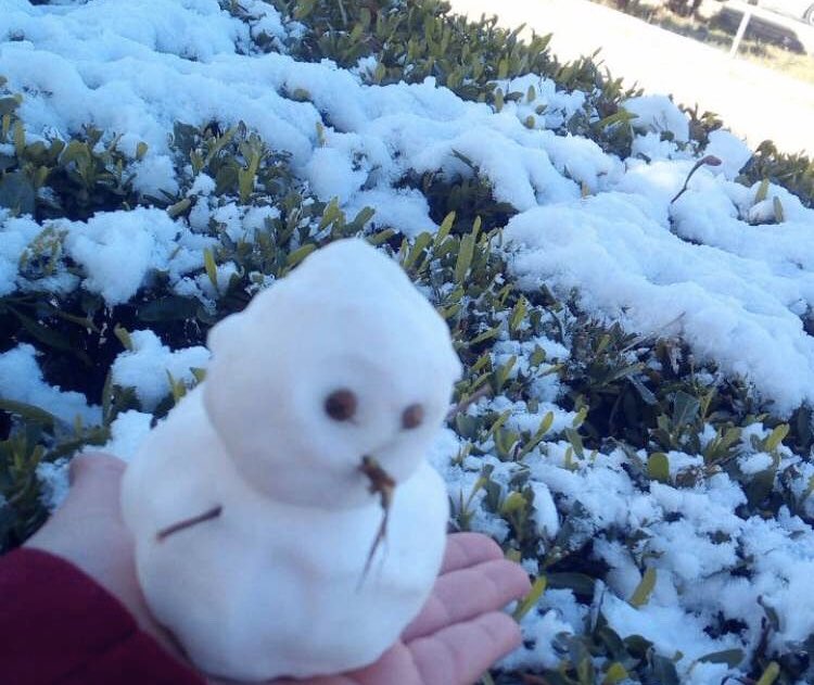 <a href="/RashaAlAqeedi/">Rasha Al Aqeedi</a> 😂😂خلي يخفف عنج شوية هذا