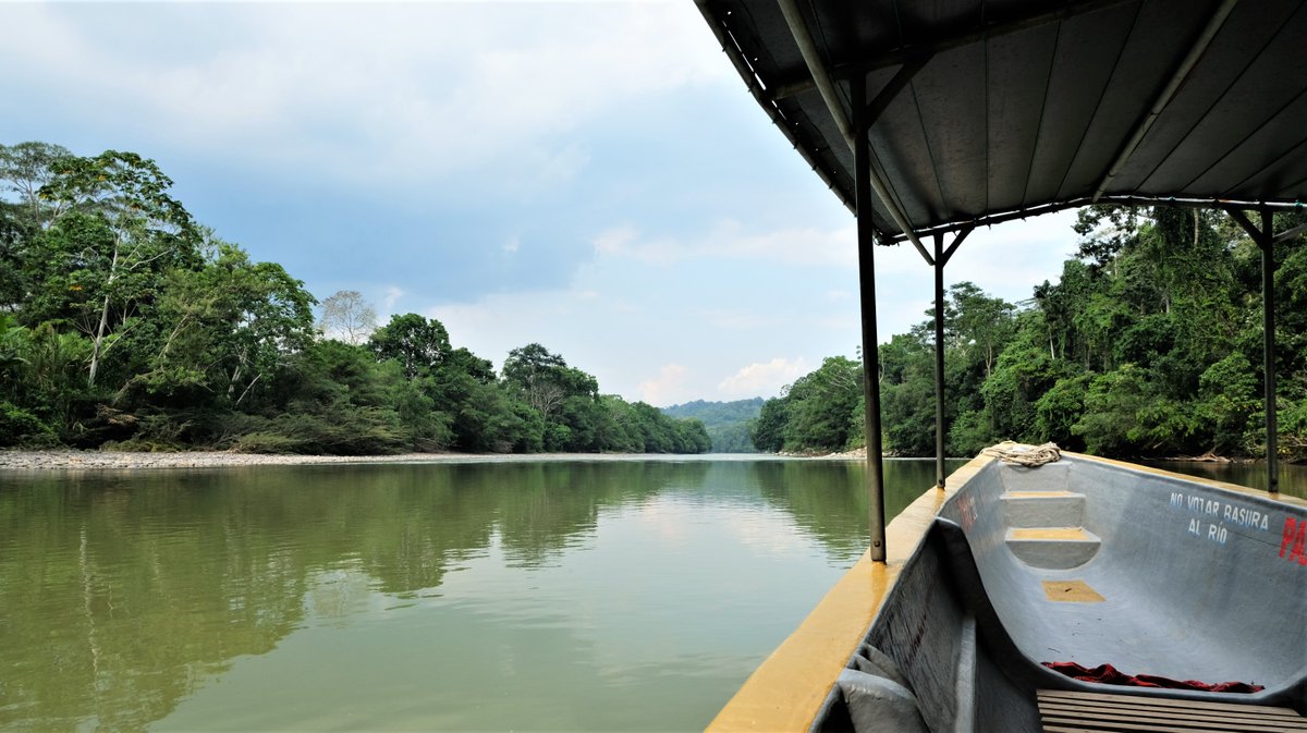 #Ecuador, our eighth week.⁠
⁠
The #Amazon 🌿 We've just got back to #Quito after a long weekend exploring the Amazon Rainforest.

🗺️We'll be sharing our full Amazon adventure in the next couple of weeks!

#AmazonRainforest #ttot
