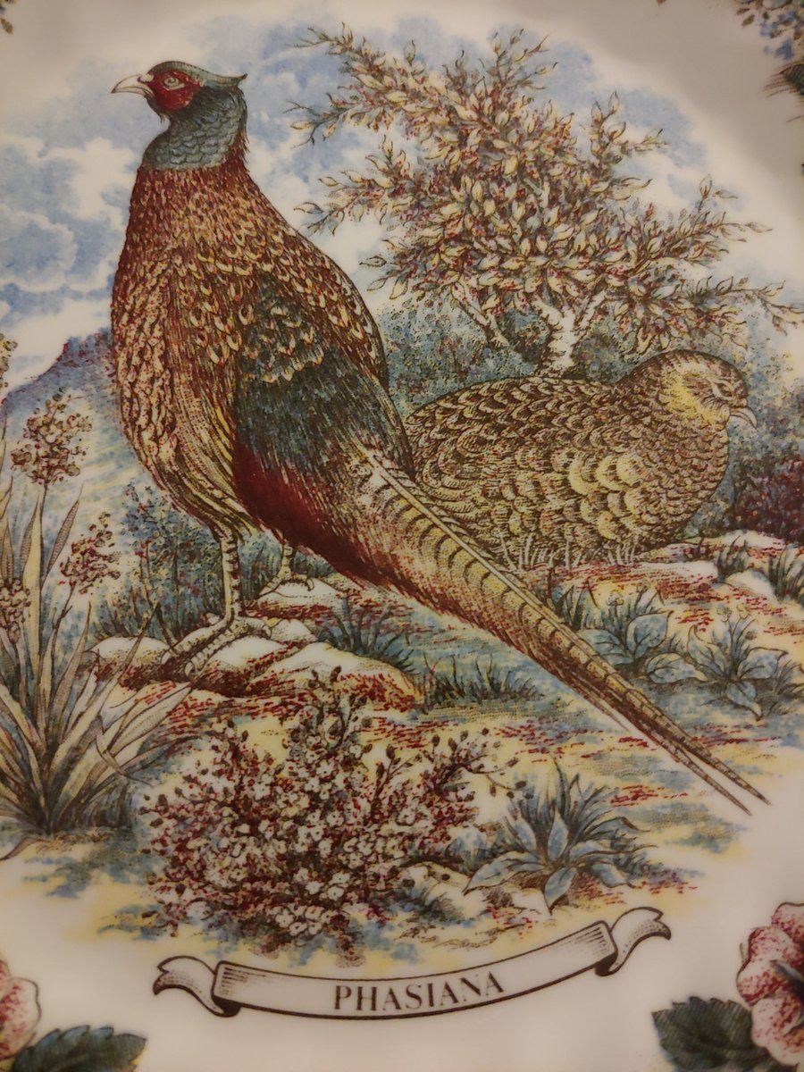 O_Transferware's tweet image. 