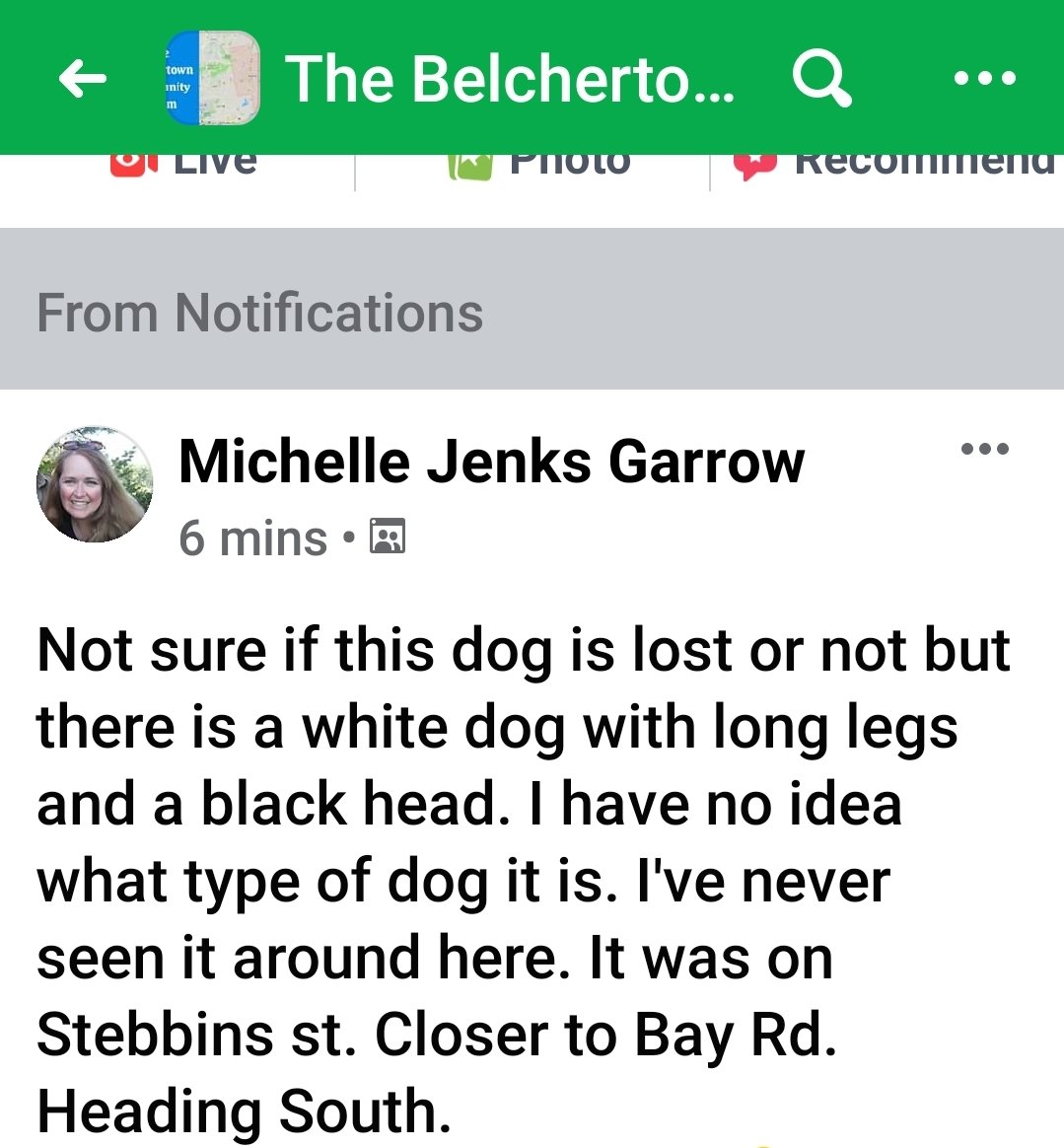 Clay Mates tweet media