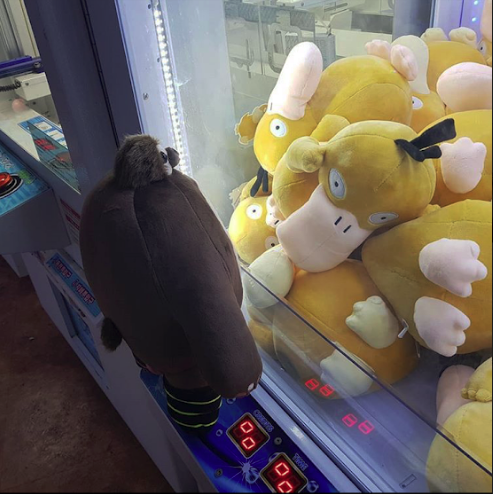 TinyHeadKingdom's tweet image. To Heep, this looked like the gig of a lifetime. All you had to do was lay around all day. 

Now he just had to figure out how to get inside. 

📸 : @pippop0930

#thk #tinyheads #tinyheadedkingdom #heep