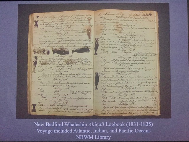 Zoe_Sadokierski's tweet image. Caroline Ummenhofer on whaling logbooks from 1700s: when ships met at sea, they flew “where do you think you are?” flags to cross reference their uncertain locations. Plus, amazing whale #marginalia
#AMOS2020