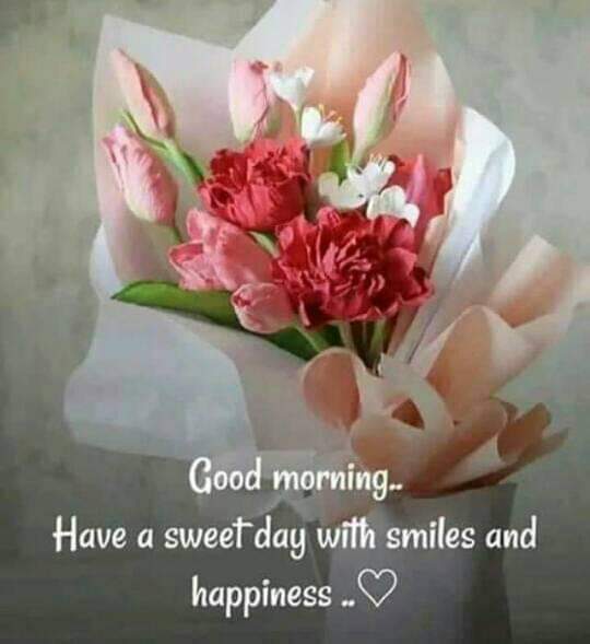 Saindad Warind Advocate (@saindadwarind1) on Twitter photo 