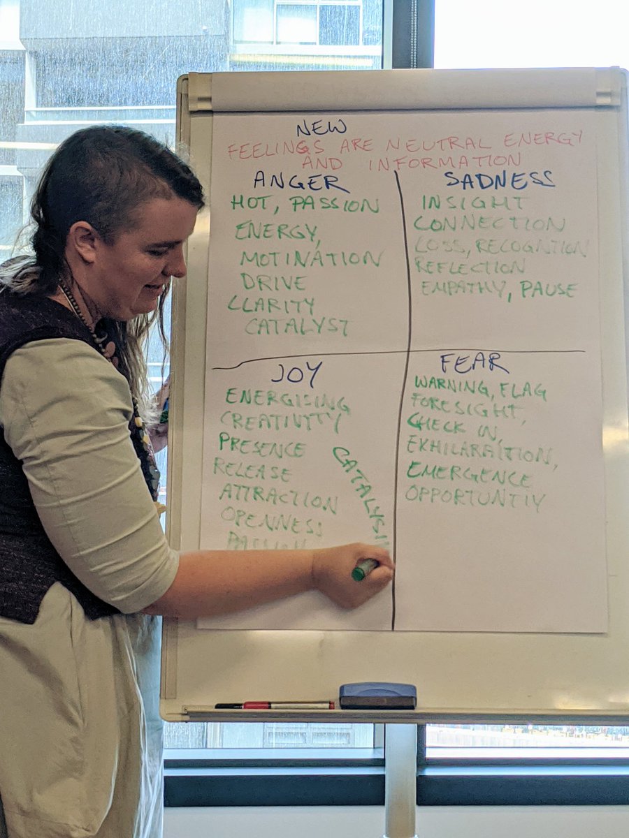 Exploring feelings as super powers in systems change. Interpreting the opportunities in feelings.
