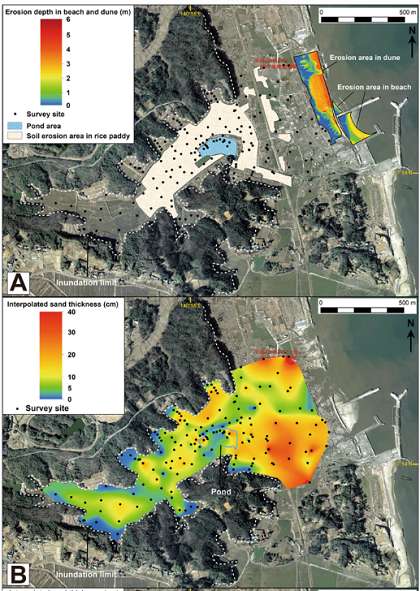 Peps Jpgu On Twitter A New Research Article 8 Feb 2020