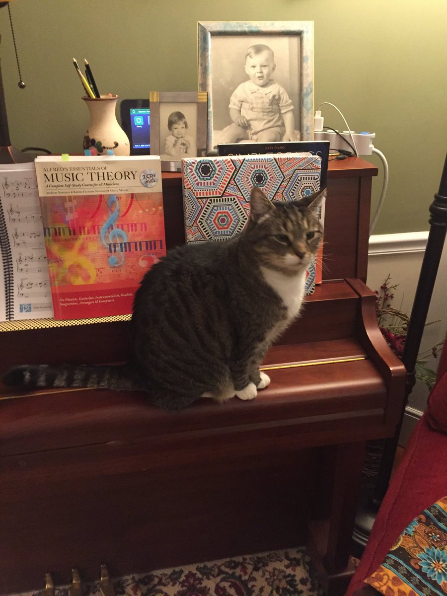 Trying to get some attention from CO before she starts piano practice. Kittehs love snacks more than music. MOL!