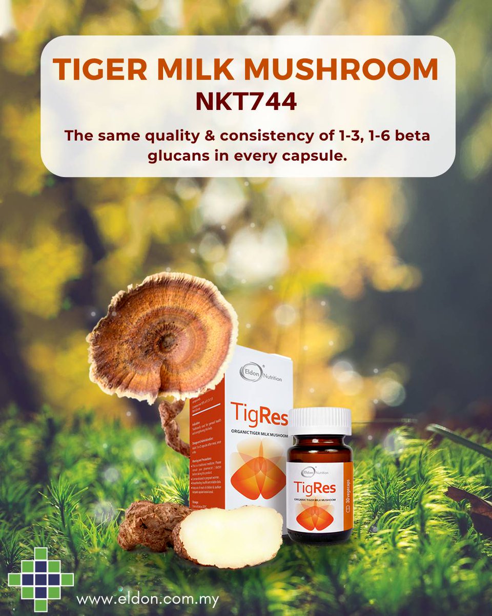 EldonHealthMY's tweet photo. Made from only USDA Organic Certified TMM NKT744, our premium TigRes 500mg capsules promise the same quality &amp; consistency of TMM's biologically active substances in every capsule.

#immunity #tigermilkmushroom #tigres #tigrex #nkt744 https://t.co/gKsx7p4554