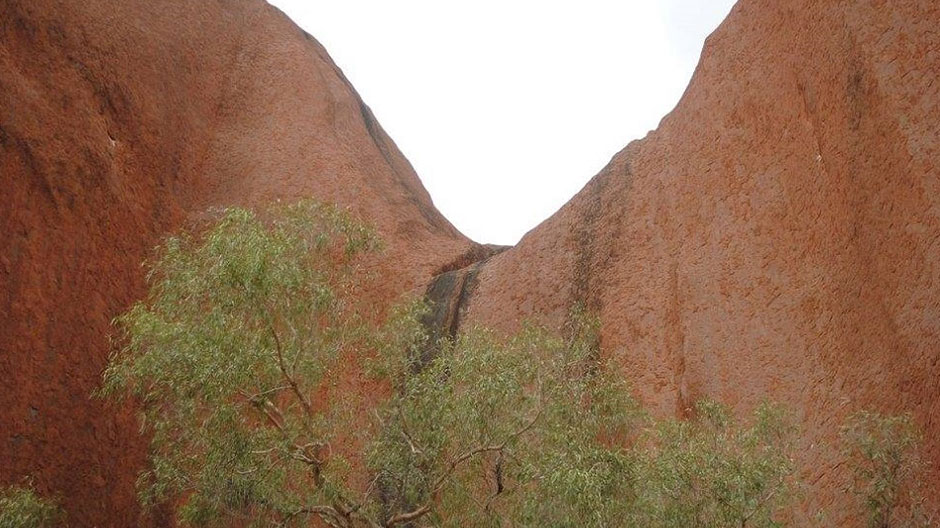 onthewards.org tweet media