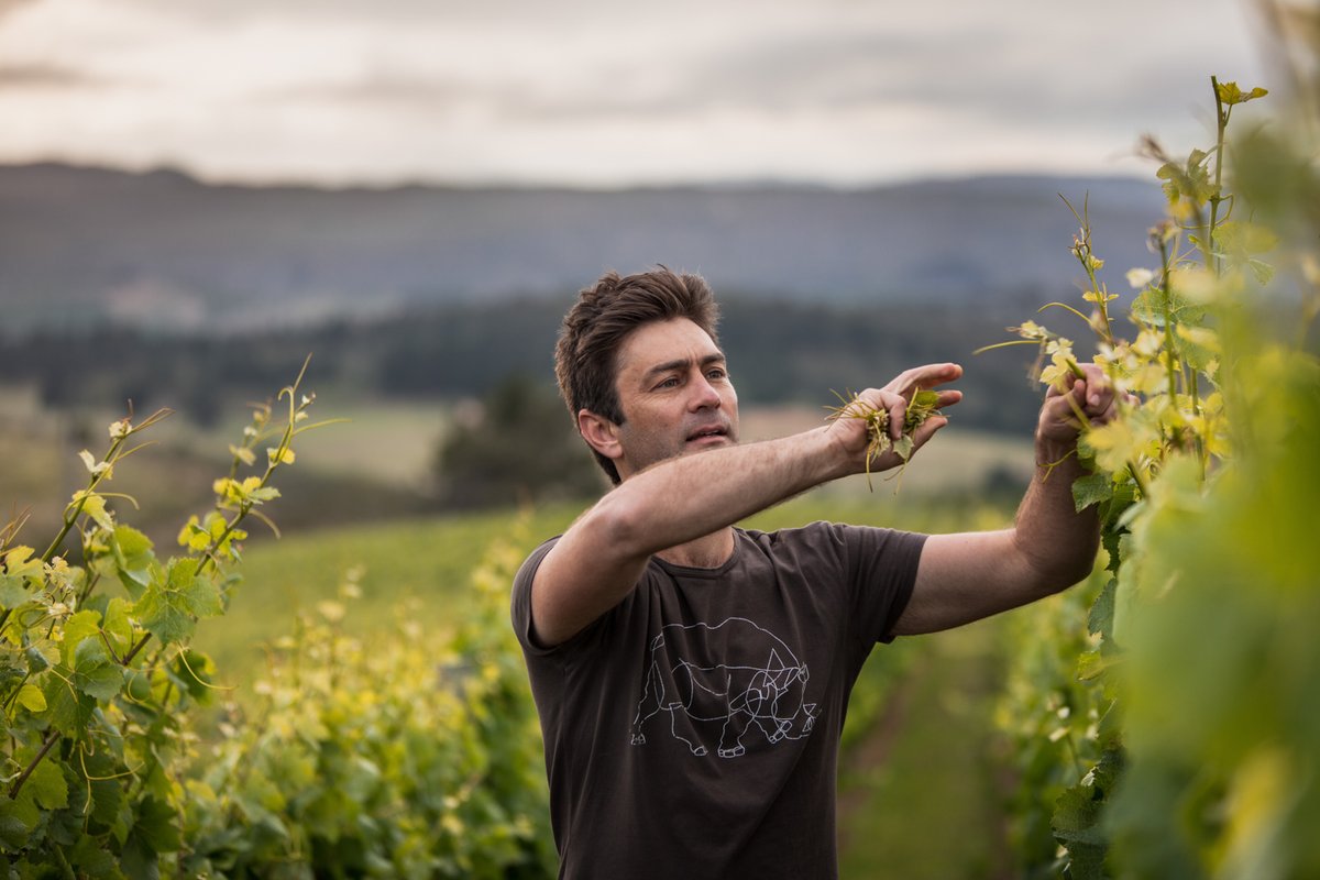 moyameakerwine's tweet photo. The Moya Meaker Pinot Noir will be at its most expressive within five years of vintage. With careful cellaring this classic beauty will continue to evolve and can improve even further for up to a decade.

#moyameakerwines #PinotNoir #WoSA #winetourism #SAWinelands #Pinotphile https://t.co/VNvy9vNMn2