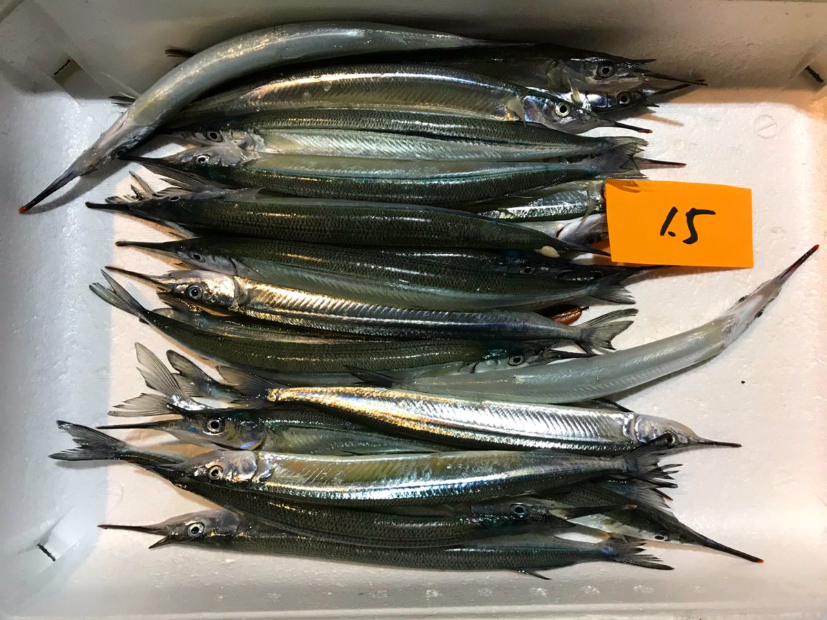 細魚 細魚