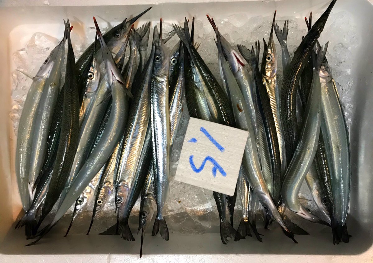 細魚 細魚